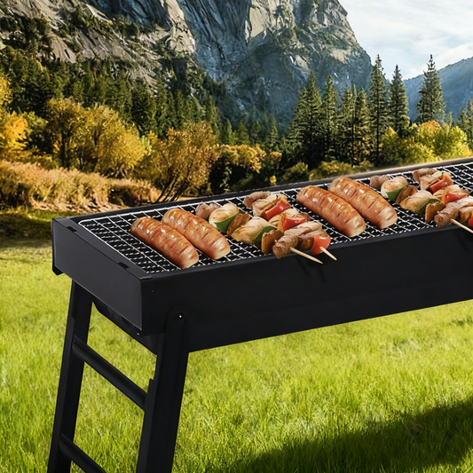 Multi-Functional Portable Foldable Outdoor Charcoal BBQ Grill with Removable Grilling Rack, 3–5 People, Black / White